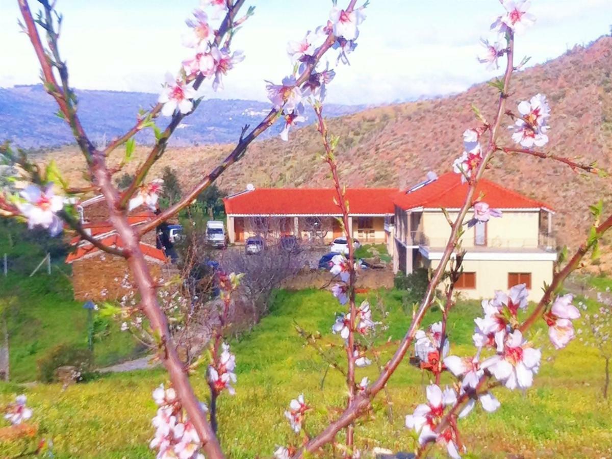 Quintas Do Valbom E Cuco Torre De Moncorvo Ngoại thất bức ảnh